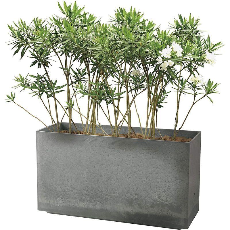 リッチェル 大型プランター 陶器風 ホワイト 80×29.5×45cm ラヴィーレWS レクタングル 80型 底面給水機能付き 709040 大型プランター 陶器風 ホワイト 80×29 5×45cm ラヴィーレWS レクタングル 80型 底面給水機能付き サイズ