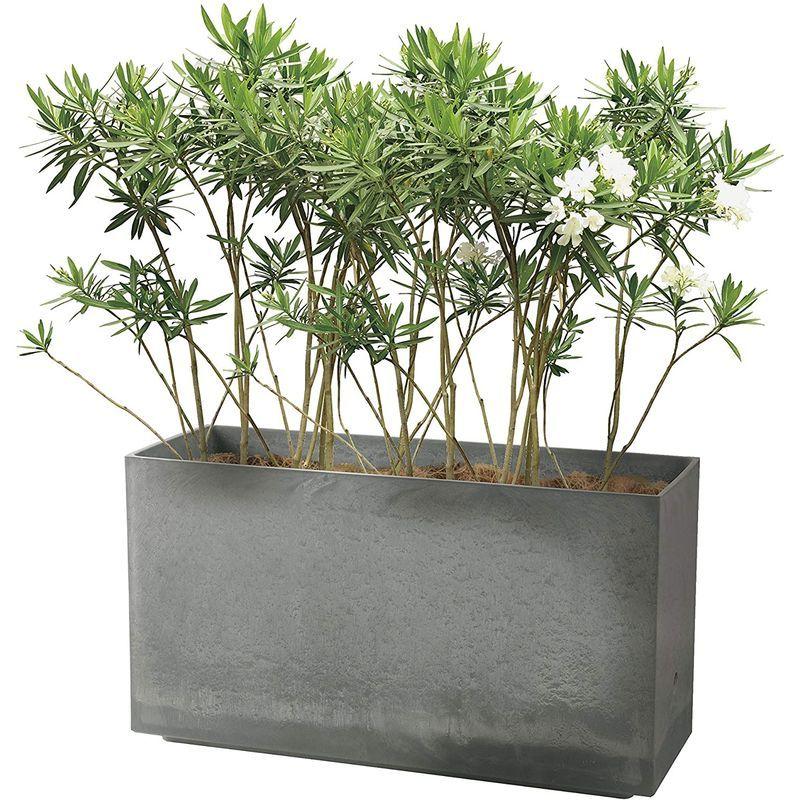 リッチェル 大型プランター 陶器風 ライトグレー 80×29.5×45cm ラヴィーレWS レクタングル 80型 底面給水機能付き 7090 大型プランター 陶器風 ライトグレー 80×29 5×45cm ラヴィーレWS レクタングル 80型 底面給水機能付き サイズ