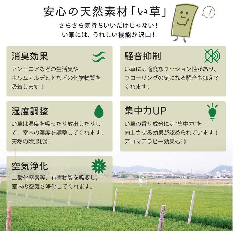 福岡県伝統工芸品 掛川織 花ござ 吉兆 ナチュラル 3畳(174×261cm) HGW582900 サヤンサヤン 手織り キリム調 エスニック ラグマット キーマ 190x190 2畳 レッド インド OCQ1079194293(10356円)