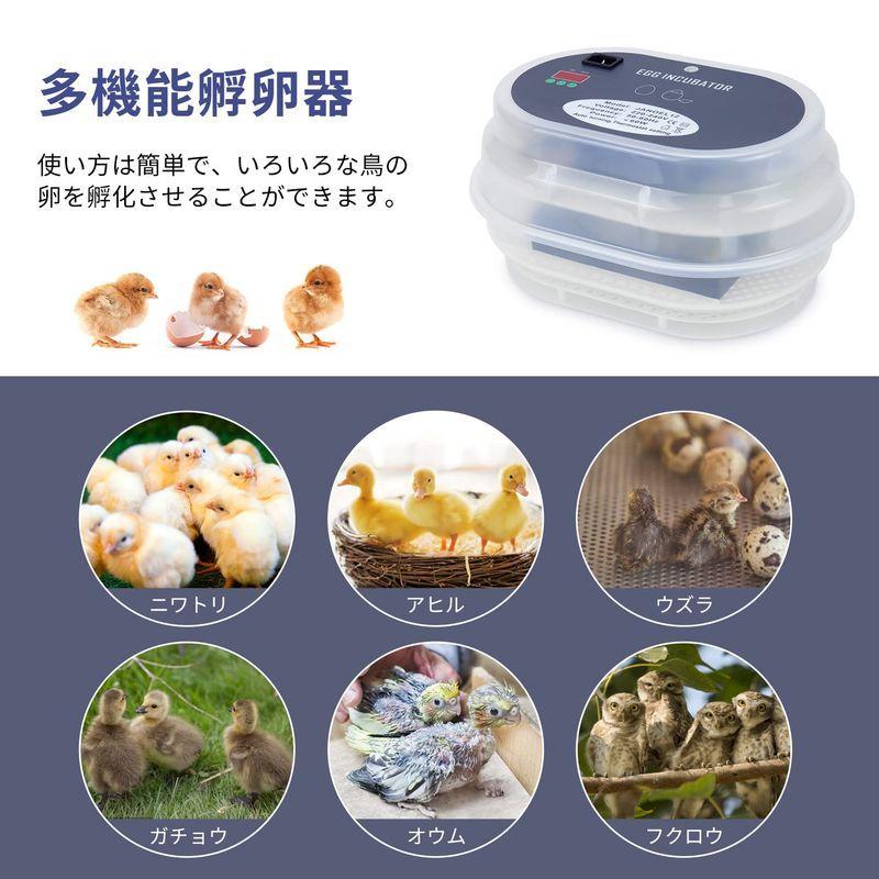 激安ブランド Harcoty 自動孵卵器 孵化器 インキュベーター 小型孵卵器 鳥類専用ふ卵器 自動転卵 自動温度制御 湿度保持 9 12個入卵 たまご Neotextreview Com