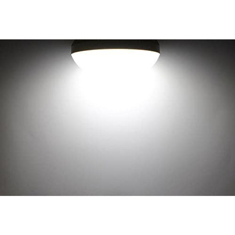 作業用　LED　投光器　バイス付7400lm　TK-48WZ-V　48W　型　500W　5mコード付