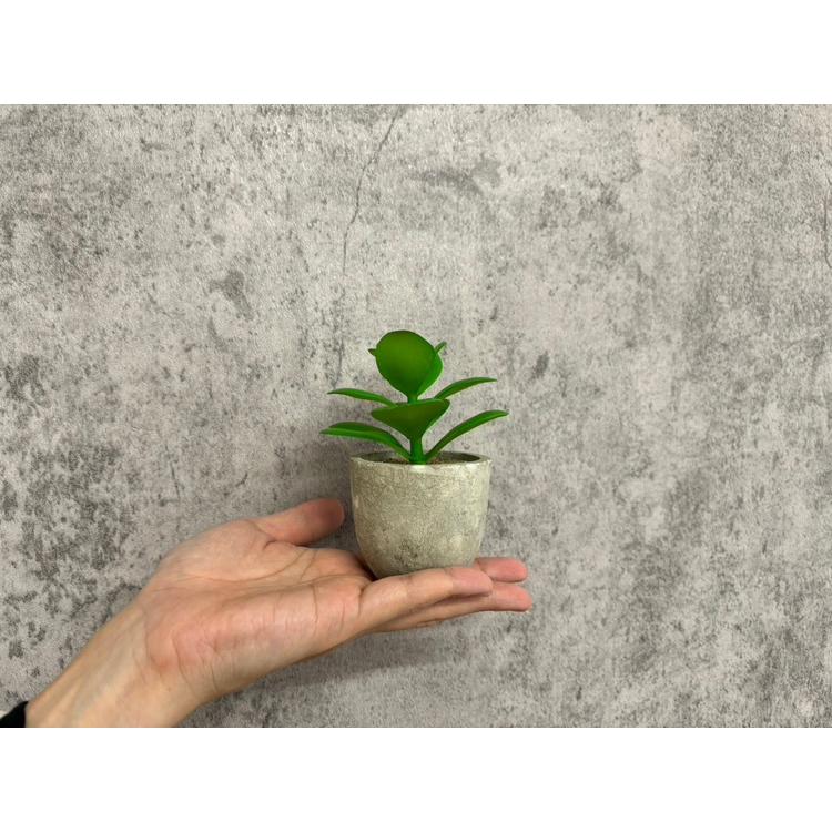 フェイクグリーン5点セット 観葉植物 人工観葉 卓上 ミニ 小さい