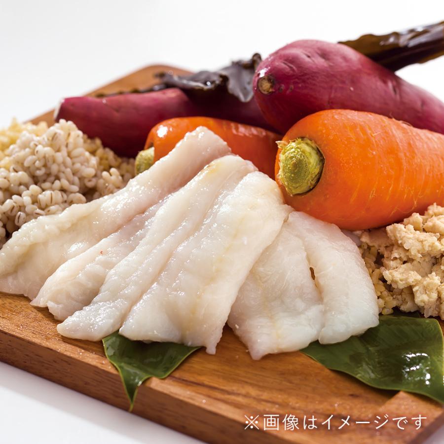 ドットわん ドッグフード おためし 無添加 国産 魚 ごはん 魚ごはん