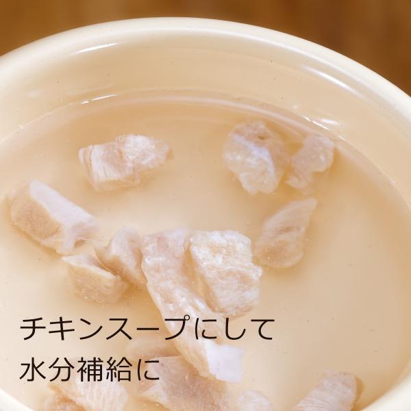 ドッグフード 無添加  国産 おすすめ シニア ごはん4種 フリーズドライチキン12g×2個付セット 牛 鶏 豚 魚 総合栄養食 ドライフード 全犬種 全年齢 対応の画像