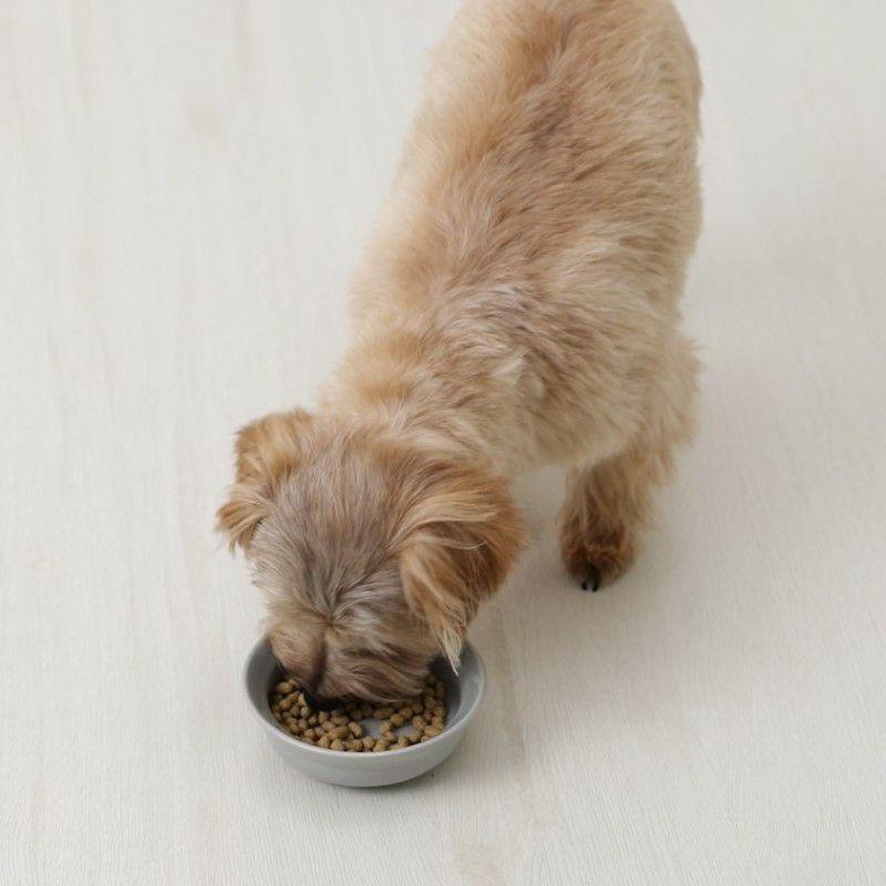 無添加ドッグフード安心本舗　500g×12袋　シニア犬幼犬 楽天市場】無添加ドッグフード 安心 500g : 安心・安全・ペット