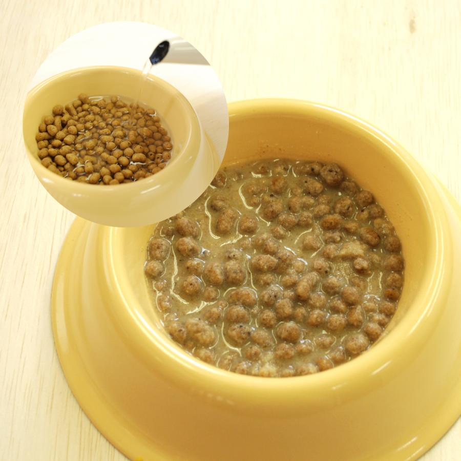 無添加ドッグフード安心本舗　500g×8袋　小粒シニア犬幼犬　どらいフード 無添加ドッグフード安心本舗 500g×8袋 小粒シニア犬幼犬 どらい