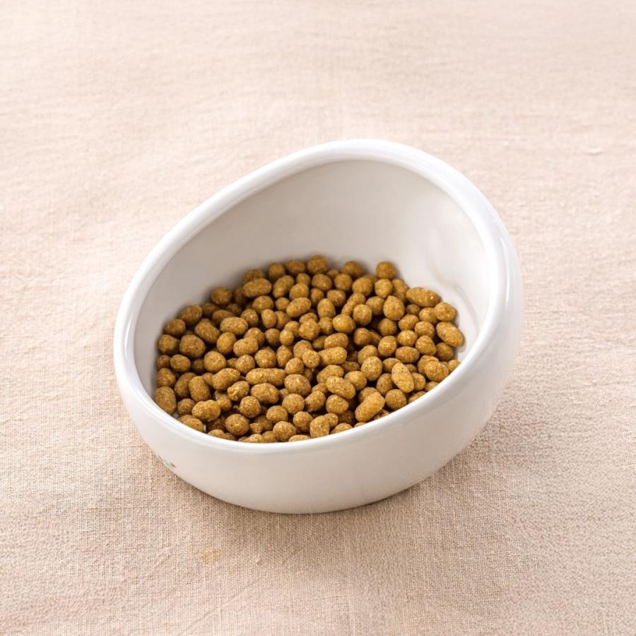 ドッグフード 無添加 国産 鶏 ごはん おすすめ シニア ドットわん 鶏ごはんお得用パック3kg  総合栄養食 手作り ごはん ドライフード 全犬種 全年齢対応 | ドットわん | 04