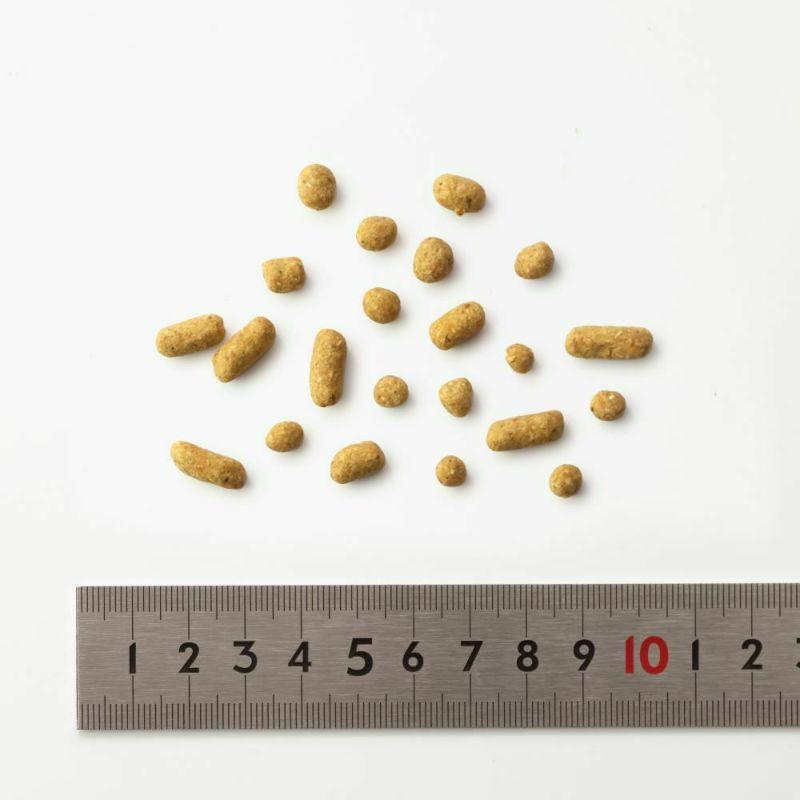 ドッグフード 無添加 国産 鶏 ごはん おすすめ シニア ドットわん 鶏ごはんお得用パック3kg  総合栄養食 手作り ごはん ドライフード 全犬種 全年齢対応 | ドットわん | 06