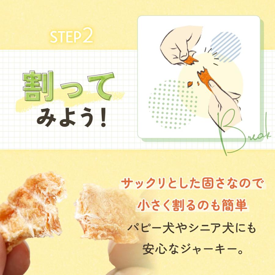 ドットわん 犬 おやつ 無添加 国産 ささみ ジャーキー 70g 公式 ササミ