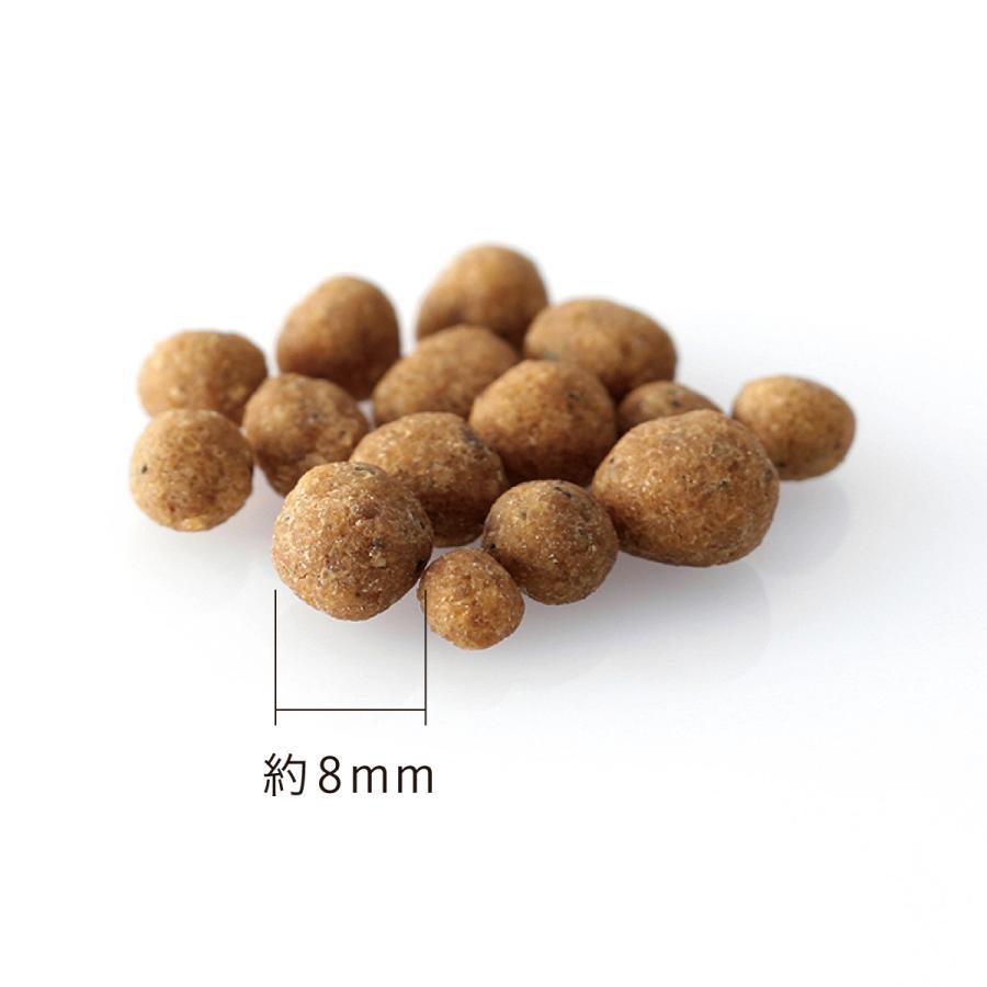 ドッグフード 無添加 国産 おすすめ ドットわん鶏ごはん まとめ買い3個 フリーズドライチキン小2個付 ドットわん 総合栄養食 犬 おやつ 全犬種対応の画像