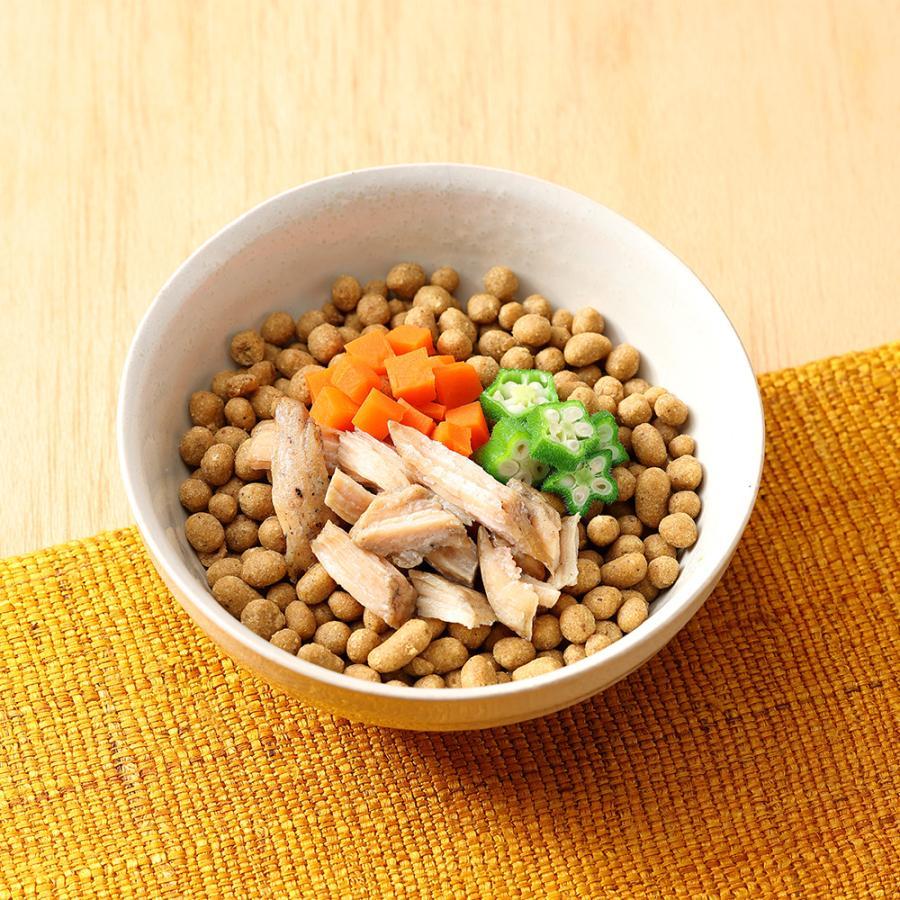 ドッグフード 無添加 国産 おすすめ ドットわん鶏ごはん まとめ買い3個 フリーズドライチキン小2個付 ドットわん 総合栄養食 犬 おやつ 全犬種対応の画像