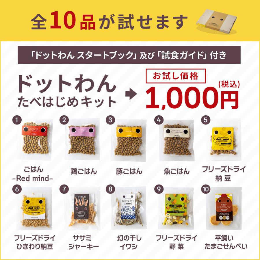 ドッグフード おためし おすすめ シニア ドットわん たべはじめキット 104g  無添加 国産 ギフト ドライフード 手作り おやつ 全年齢 全犬種 対応 送料無料 | ドットわん | 01