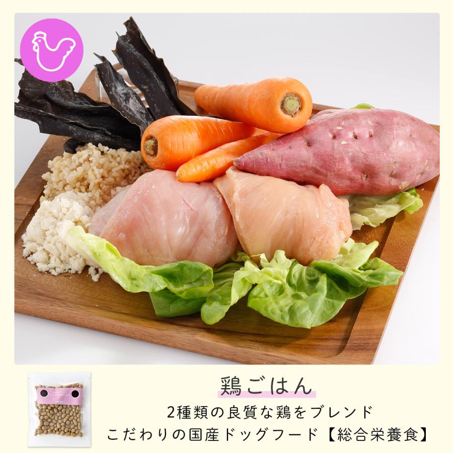 ドッグフード おためし おすすめ シニア ドットわん たべはじめキット 104g  無添加 国産 ギフト ドライフード 手作り おやつ 全年齢 全犬種 対応 送料無料 | ドットわん | 04