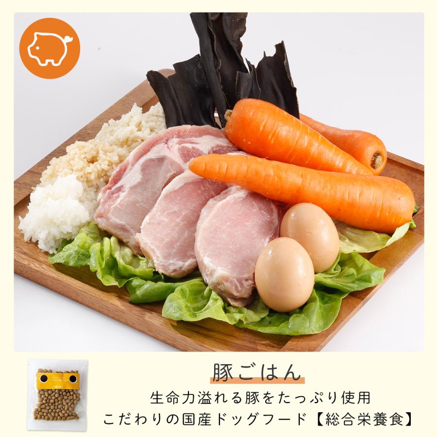 ドッグフード おためし おすすめ シニア ドットわん たべはじめキット 104g  無添加 国産 ギフト ドライフード 手作り おやつ 全年齢 全犬種 対応 送料無料 | ドットわん | 05