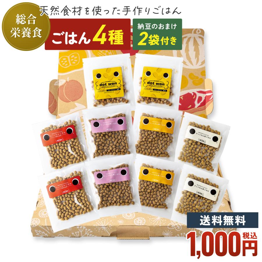 ドットわん ドッグフード 無添加 国産 おためし おすすめ シニア