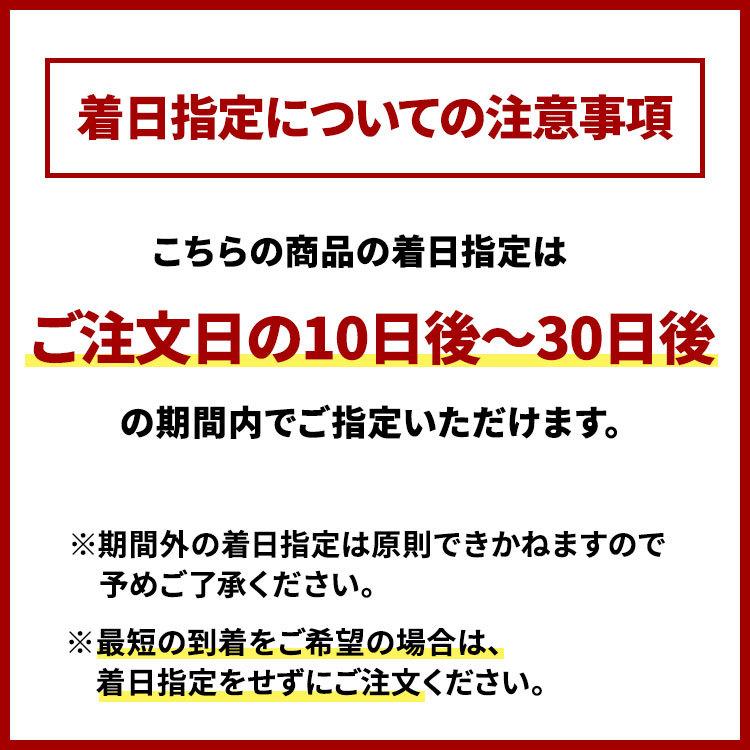 こたつ布団セット 省スペース 長方形 こたつ布団 掛敷セット 厚手 セット コタツ布団 洗える おしゃれ こたつふとん 北欧 フランネル キルティング｜double-oo｜24