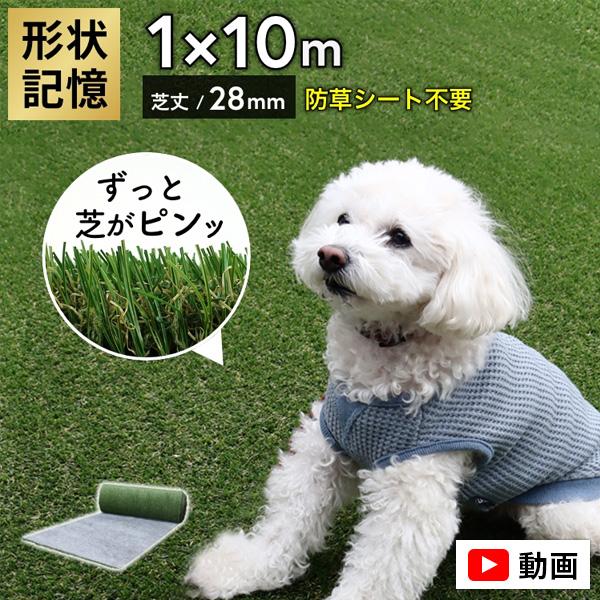 人工芝 ロール 1m×10m メモリーターフ AIR 犬 形状記憶 芝丈28mm 高