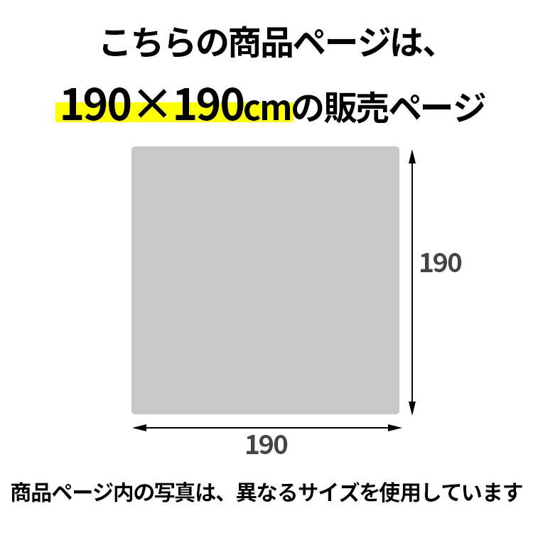 ギャッベ 絨毯 ギャベ ラグ 2畳 カーペット 190x190 夏 ギャッベ 絨毯 ギャベ ラグ 2畳 カーペット 190x190 夏