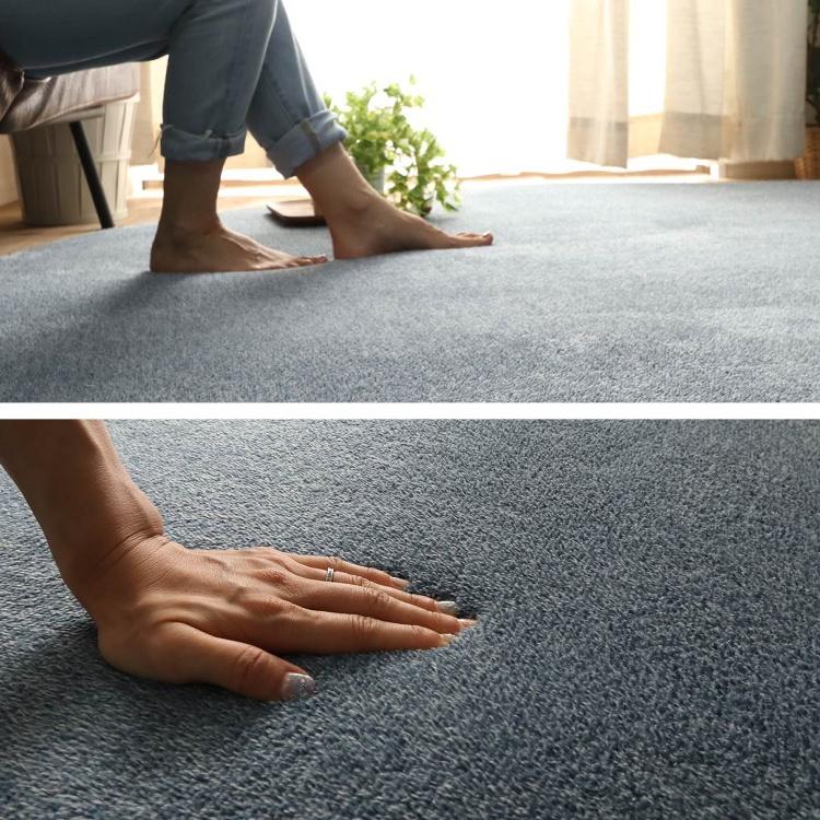 ラグ カーペット 3畳 洗える 厚手 秋用 ラグマット 190×240 極厚 じゅ
