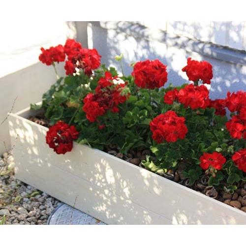 フェンス 目隠し ベンチ用 プランター用 フ : サムライ家具 - 通販