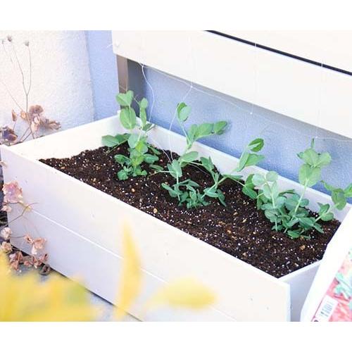 フェンス 目隠し ベンチ用 プランター用 フ : サムライ家具 - 通販