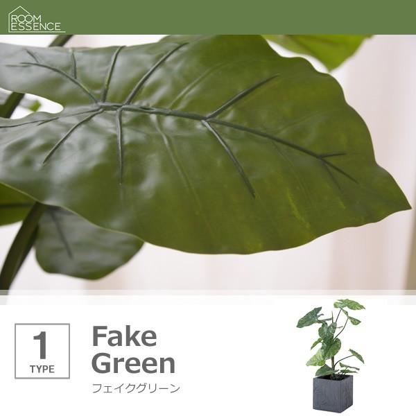 高質で安価 フェイクグリーン おしゃれ クワイズモ 観葉植物 人口 リアル Dsazgrn 16 ベッド 布団 収納家具のダブル 通販 Yahoo ショッピング 日本最大級 Www Maxipiso Com Ar