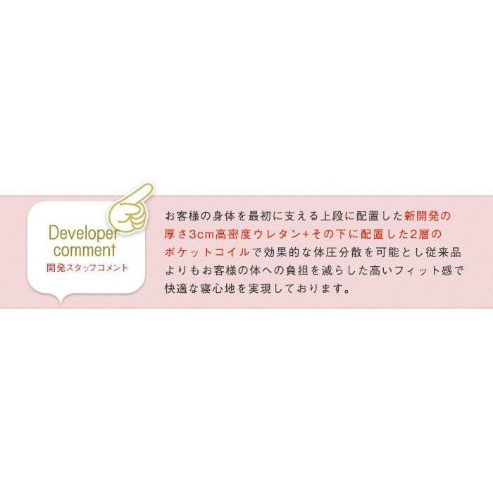 マットレス ダブル 2層社会システム 腰痛・快眠 衣嚢捲線 朦々たる