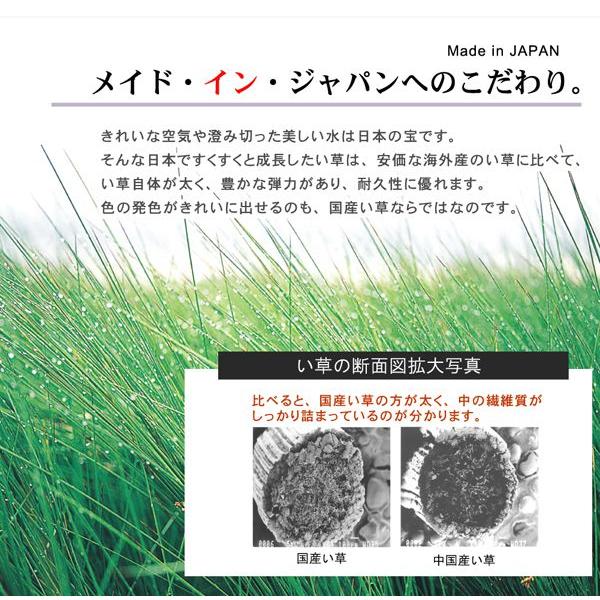 ラグマット 夏用 い草ラグ 約1畳半 140×180cm 日本製 抗菌 となりのトトロ 調湿効果｜double｜04