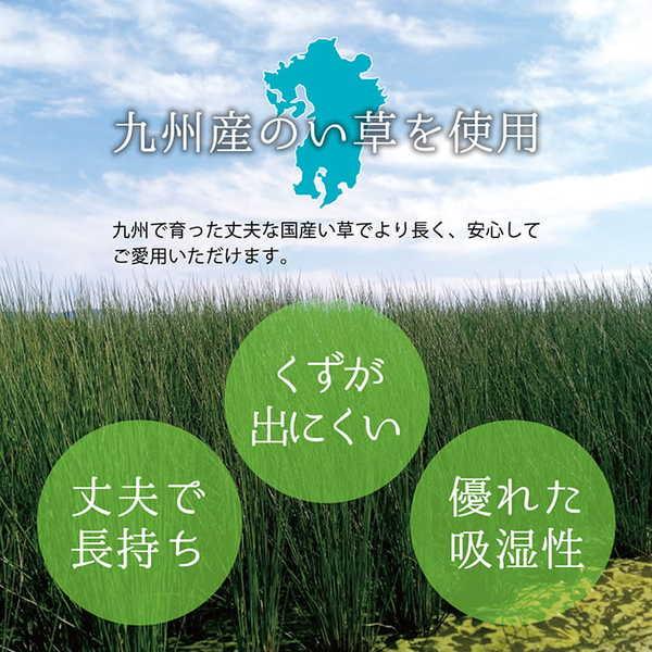 上敷き い草 江戸間6畳(約261×352cm) ゴザ カーペット 日本製 消臭 抗菌防臭