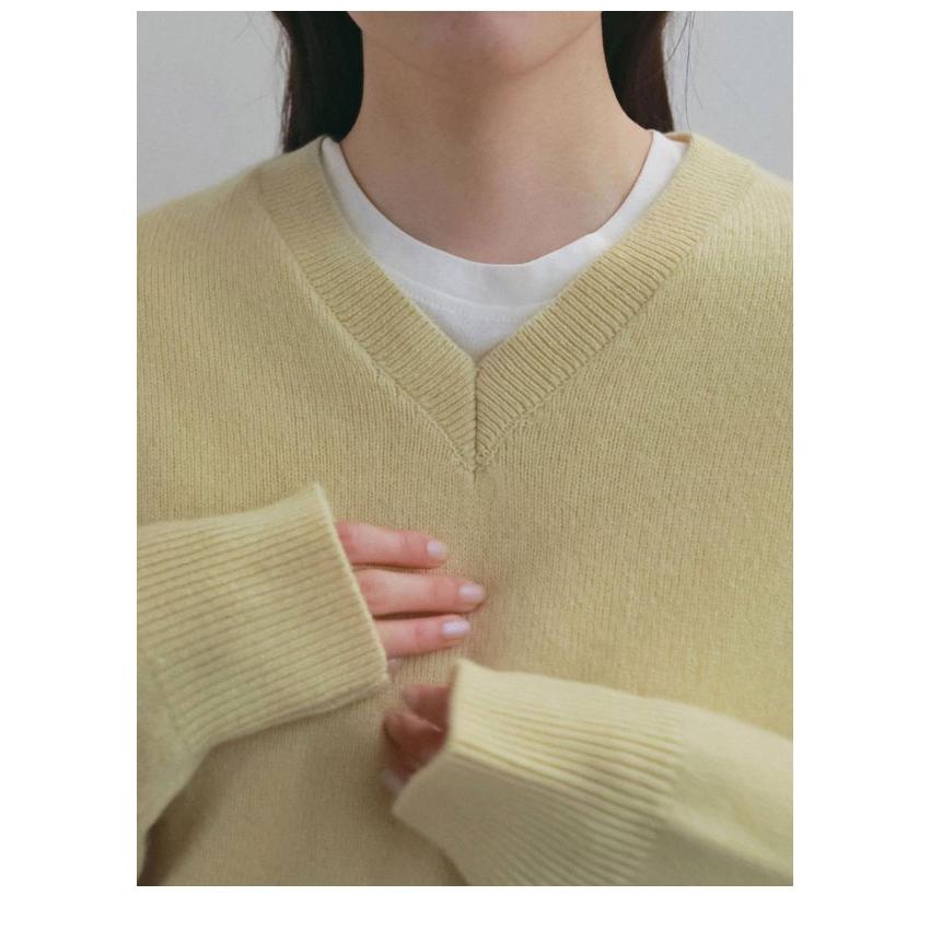 anuke（アンヌーク） anuke 2026winter トップス Wool Vneck Knit 10月