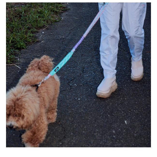 A SCENE（エーシーン） A SCENE Dog lead ドッグリード ペットアイテム