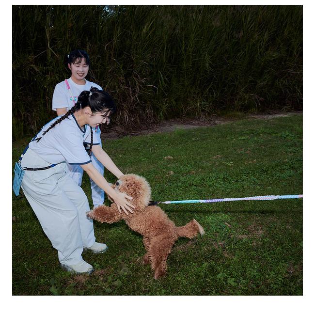 A SCENE（エーシーン） A SCENE Dog lead ドッグリード ペットアイテム