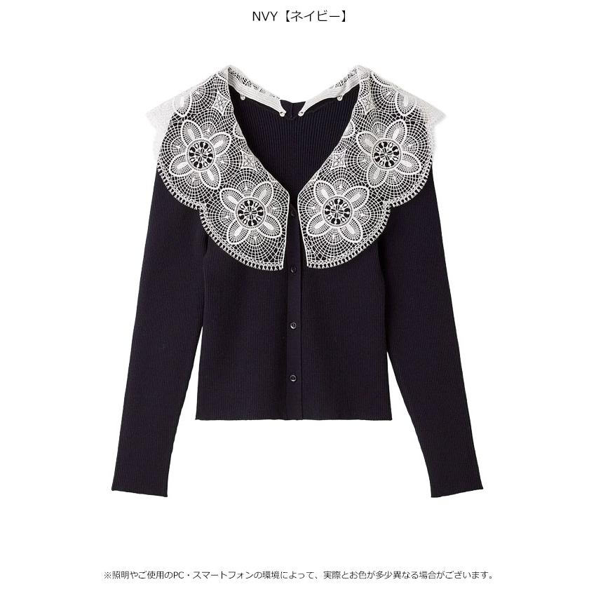 スナイデル SNIDEL トップス 25秋冬 エンブロイダリーカラーニット