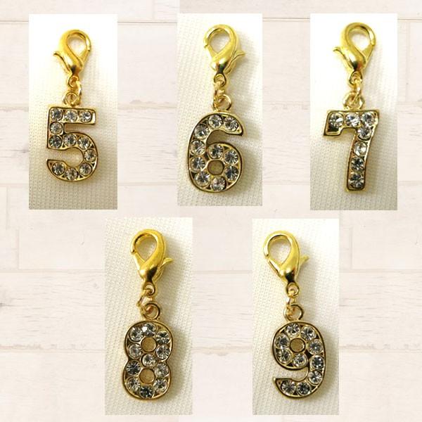 チャーム 数字 ナンバー バッグチャーム アクセサリーパーツ ライン