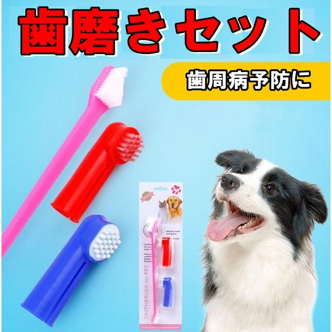 正規通販 わんちゃんの歯磨きセット 歯みがき3点セット ブラッシング 虫歯予防 歯周病予防に とてもやわらかな歯ブラシ 犬 いぬ イヌ Aynaelda Com