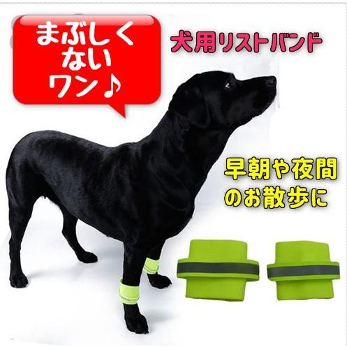 犬用リストバンド 足輪 レッグバンド 早朝や夜間のお散歩に 安全対策 蛍光素材で光って安心 Dou Legband01 どうぶつだいすきヤフー店 通販 Yahoo ショッピング