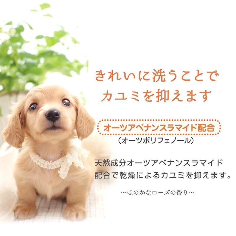 日本全薬 【あすつく】【オーツホイップクリームシャンプー 200mL ×1