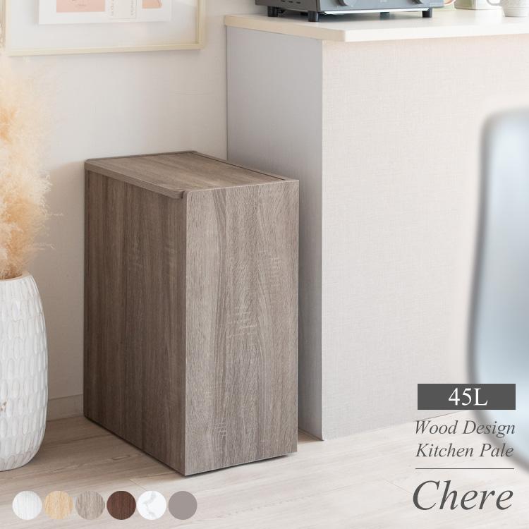 ゴミ箱 45リットル 45L ふた付き キャスター付き スリム