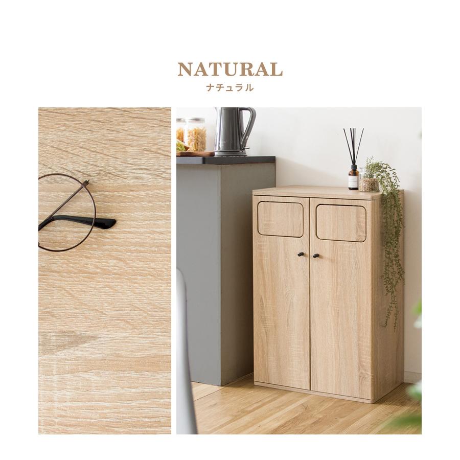 ゴミ箱 45リットル 45L 分別 2分別 ふた付き プッシュ式 スリム