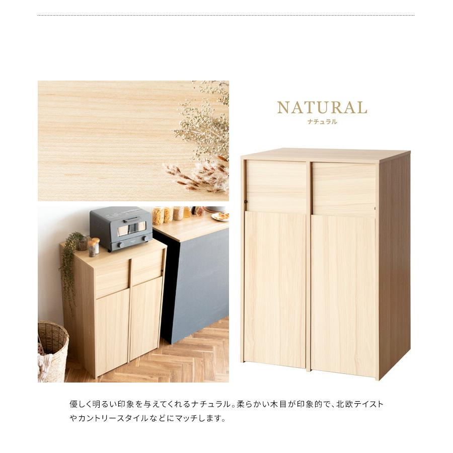 ゴミ箱 45L 45リットル 分別 2分別 ダストボックス ふた付き プッシュ