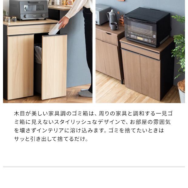 ゴミ箱 45L 45リットル 2分別 分別 ダストボックス ふた付き