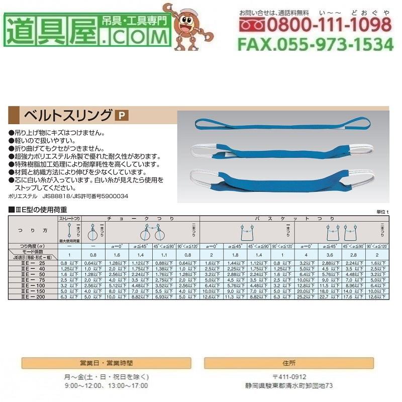 スリーエッチ　ベルトスリングJIS　3等級　両端アイ形　幅100mm　長さ9.5m