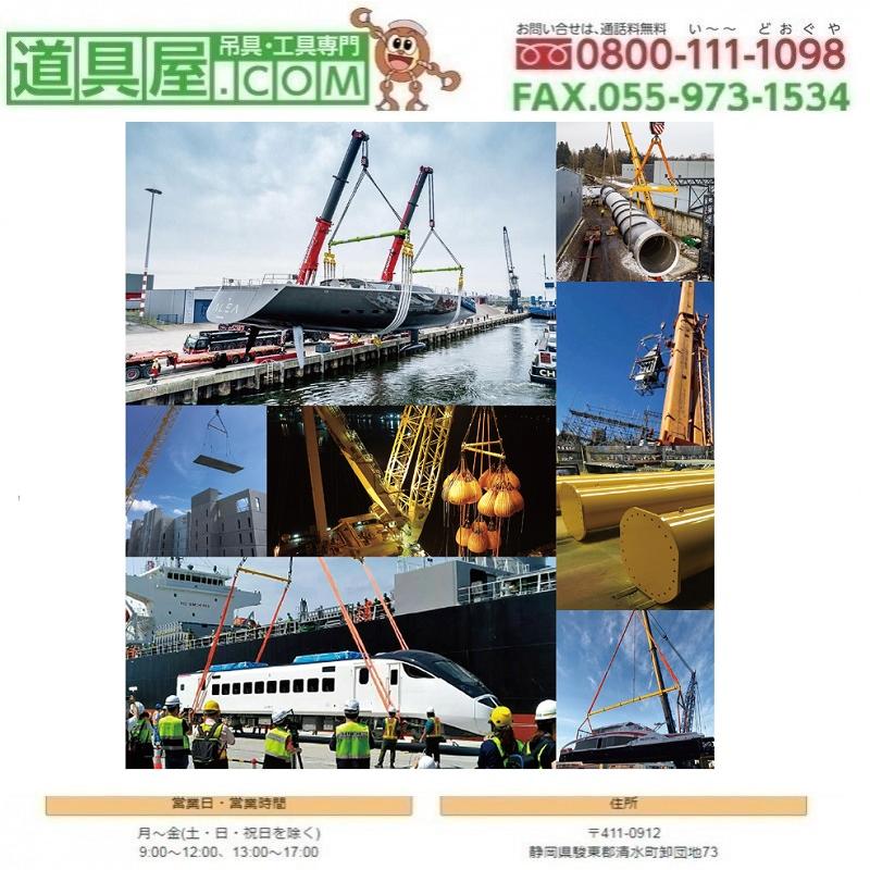 80550259_4