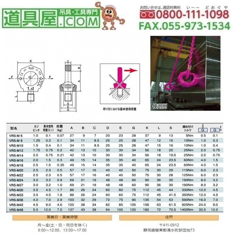 RUD　スターポイント並目ボルト　キー付き　M20