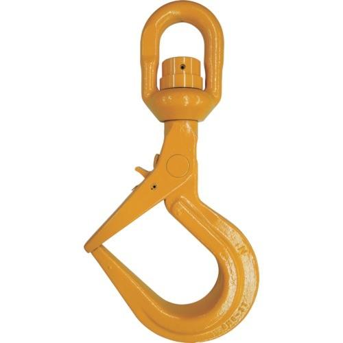NOGA Carmexねじ切り用チップ ISOメートルねじ用 チップサイズ16 NOGA Carmexねじ切り用チップ ISOメートルねじ用 チップサイズ16