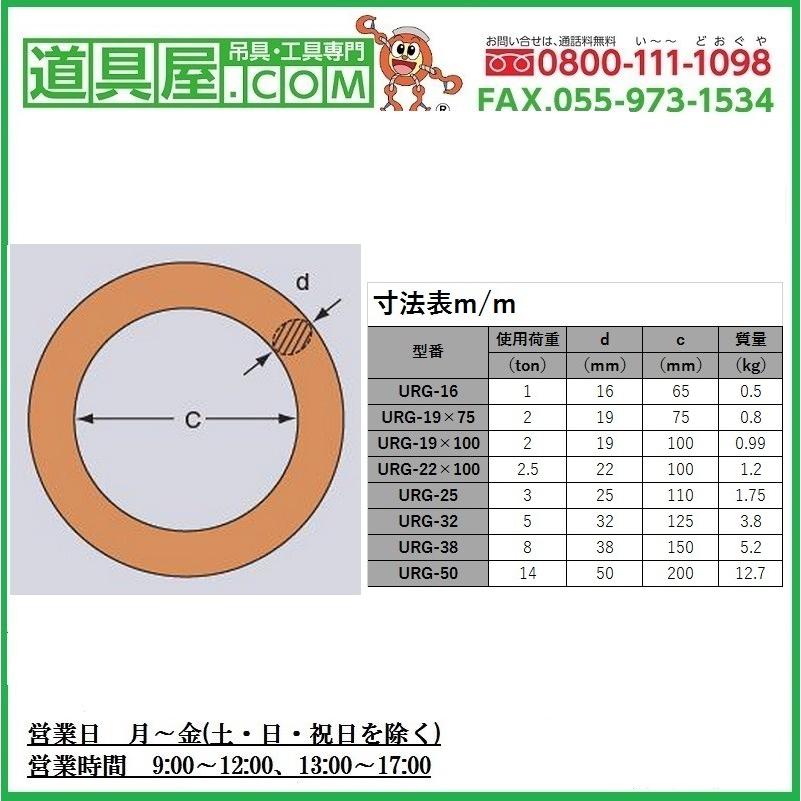 大洋 強力リング 使用荷重1.0T|dougu-ya|02