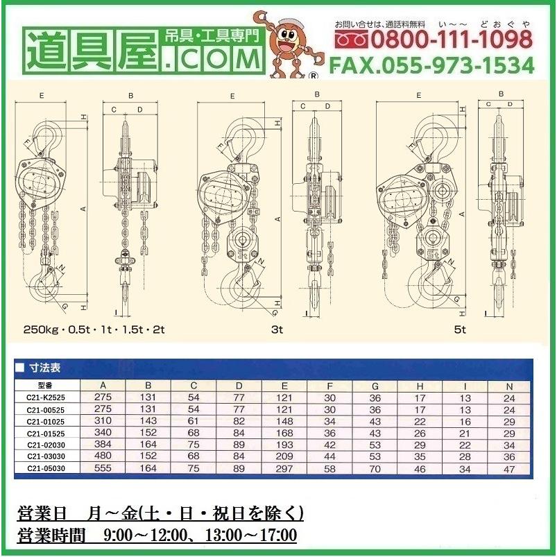 象印（ZOJIRUSHI） C21ギャードトロリ結合式チェーンブロック 定格