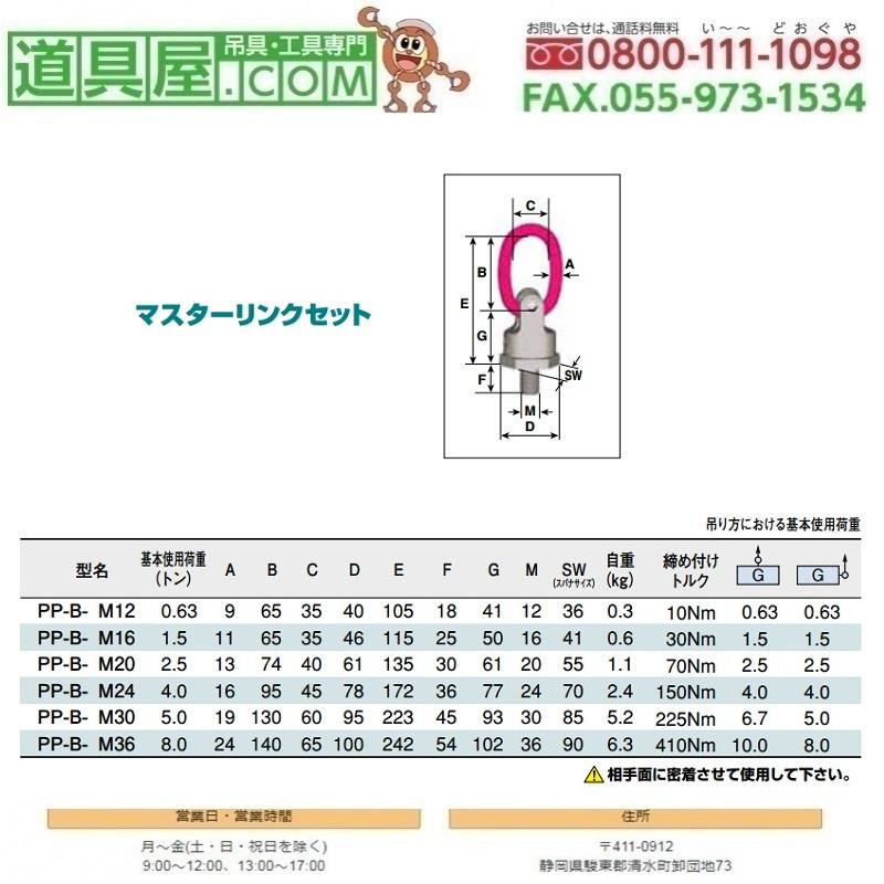 RUD　パワーポイントスターBリングセット　M20