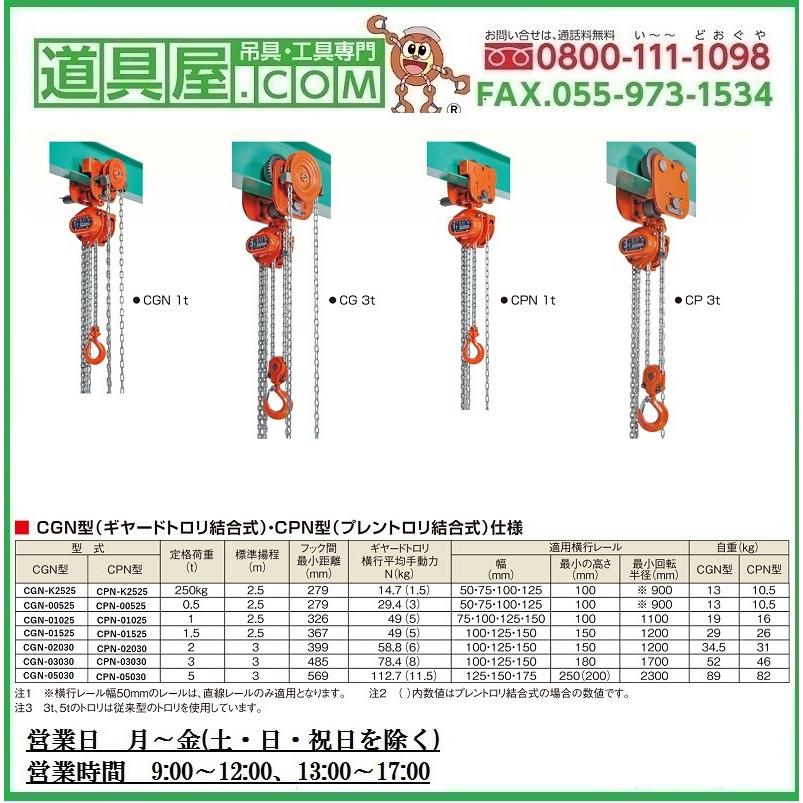 象印　Ｃ２１小型軽量チェーンブロック　定格荷重5.0t　揚程3.0ｍ