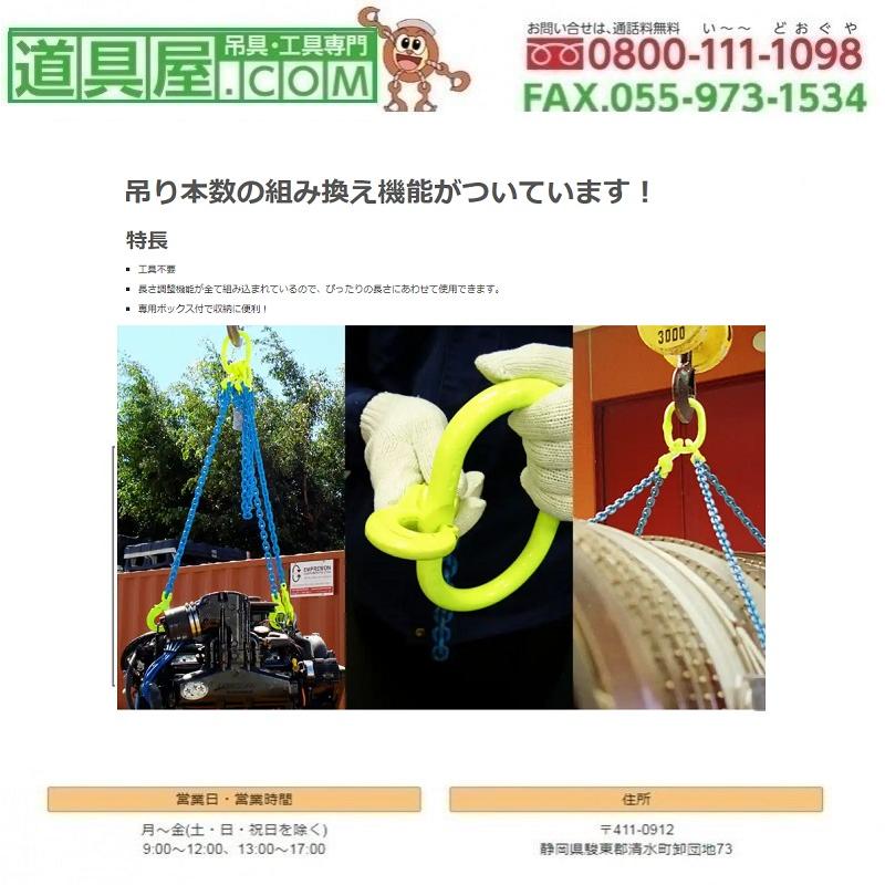 マーテック 吊りの達人TT-SB2 チェーン線径6mm 標準長さ2m フックGBK